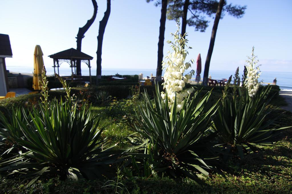 Villa Reta Hotel & Spa Grigoleti Exterior photo